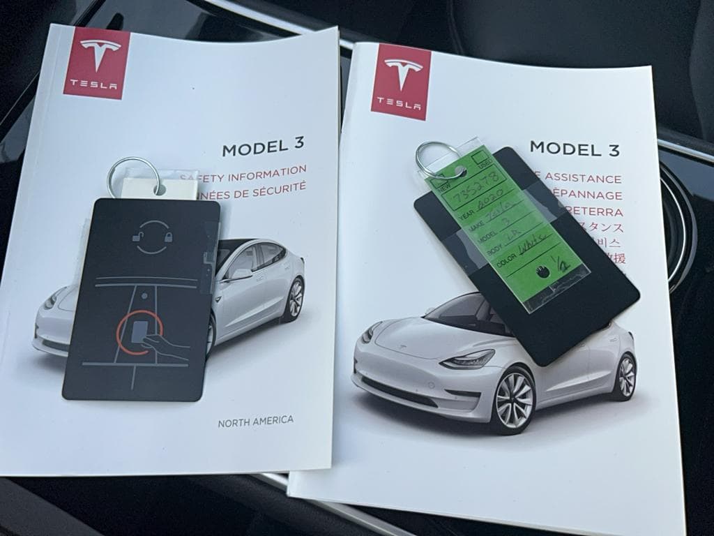 2020 Tesla Model 3 view 17