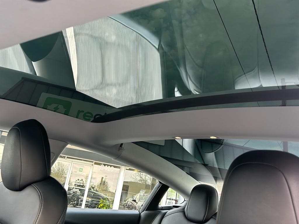 2021 Tesla Model 3 view 16