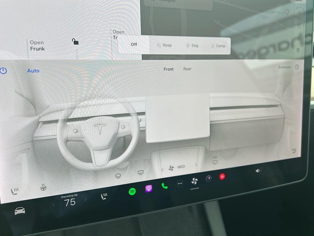 2021 Tesla Model 3 view 12