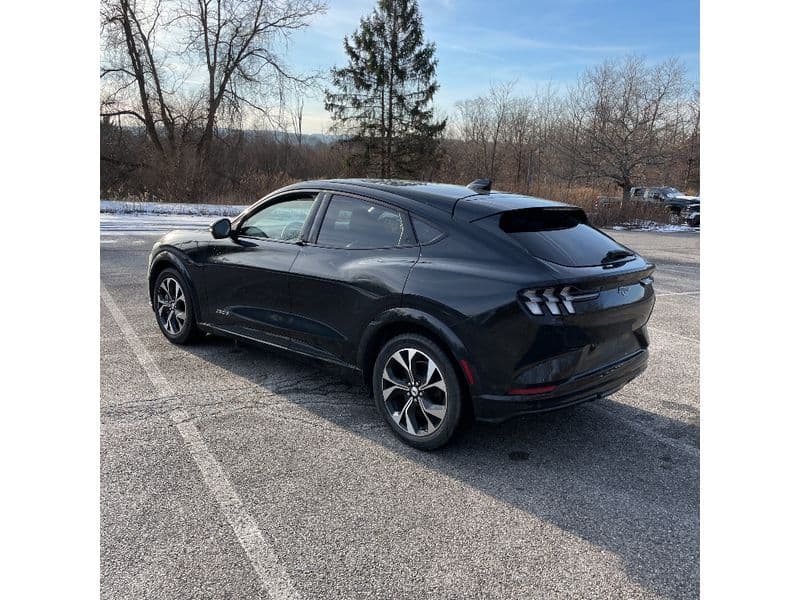 2021 Ford Mustang Mach-E view 2