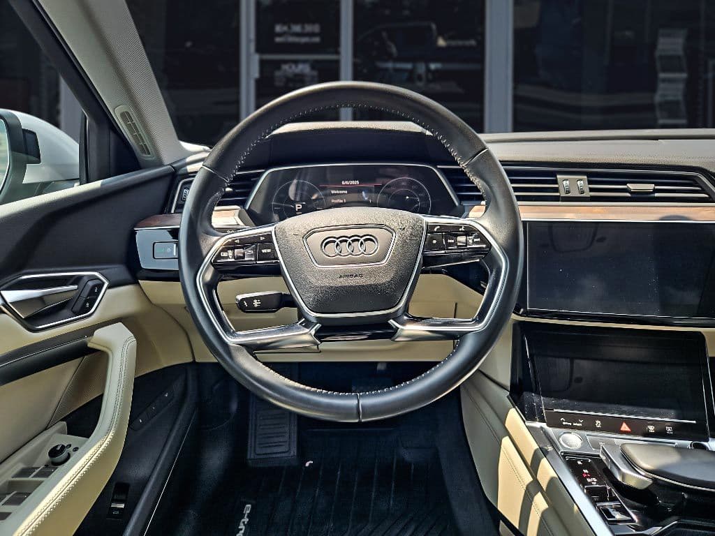 2019 Audi e-tron view 8