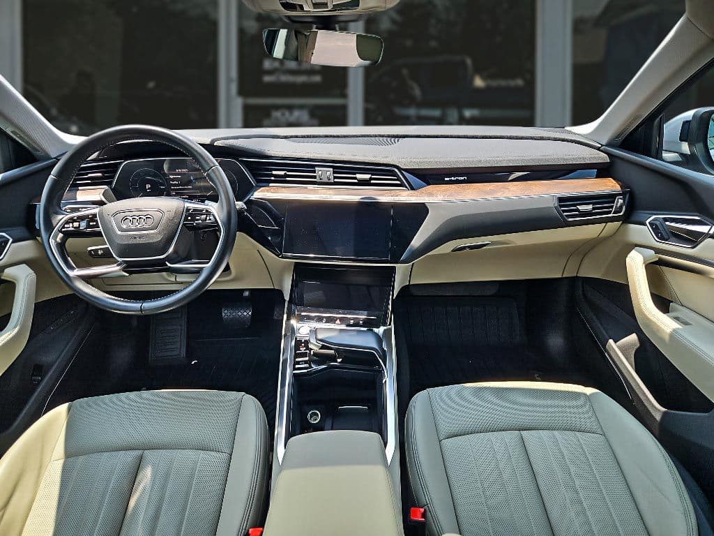 2019 Audi e-tron view 15