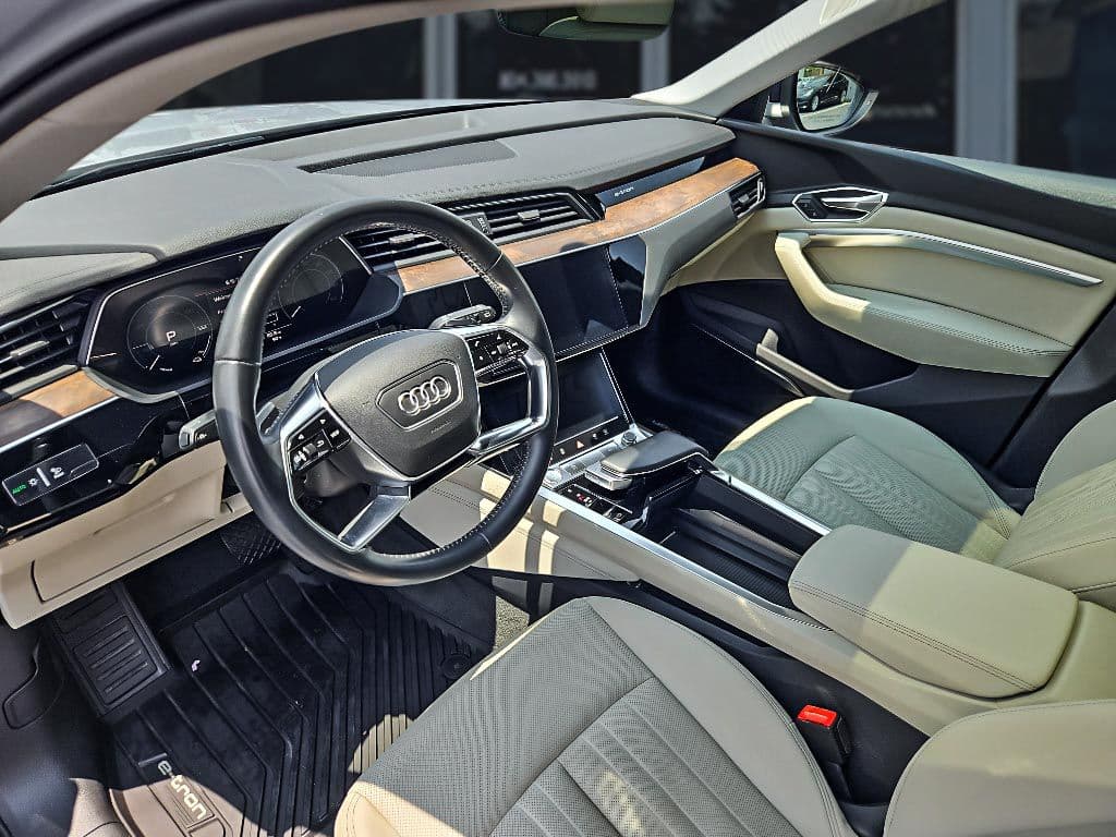 2019 Audi e-tron view 16