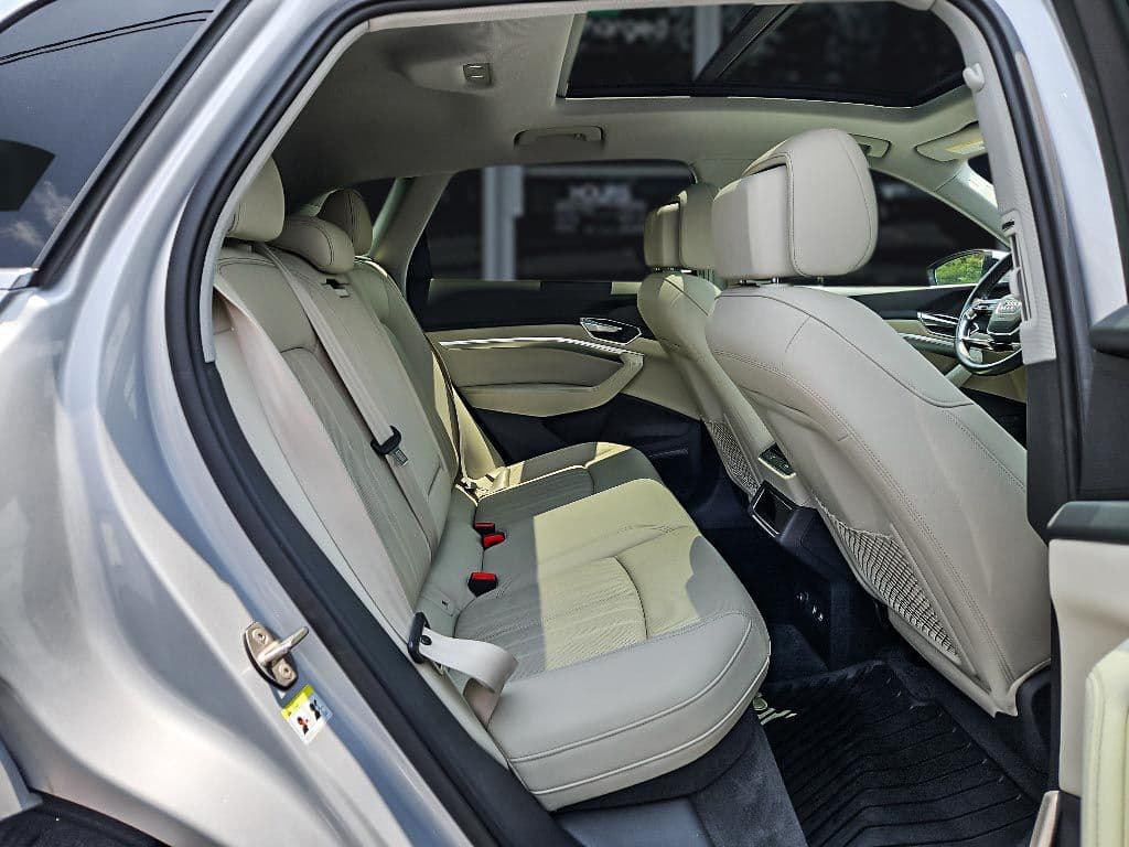 2019 Audi e-tron view 22