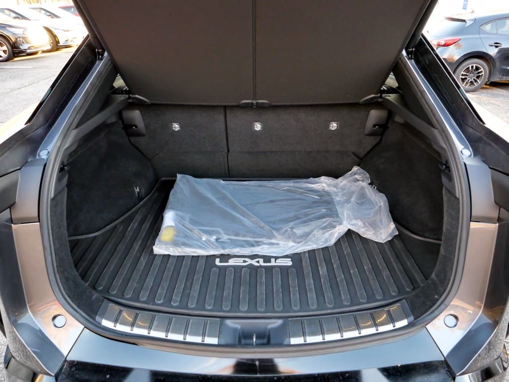 2023 Lexus RZ 450e view 24