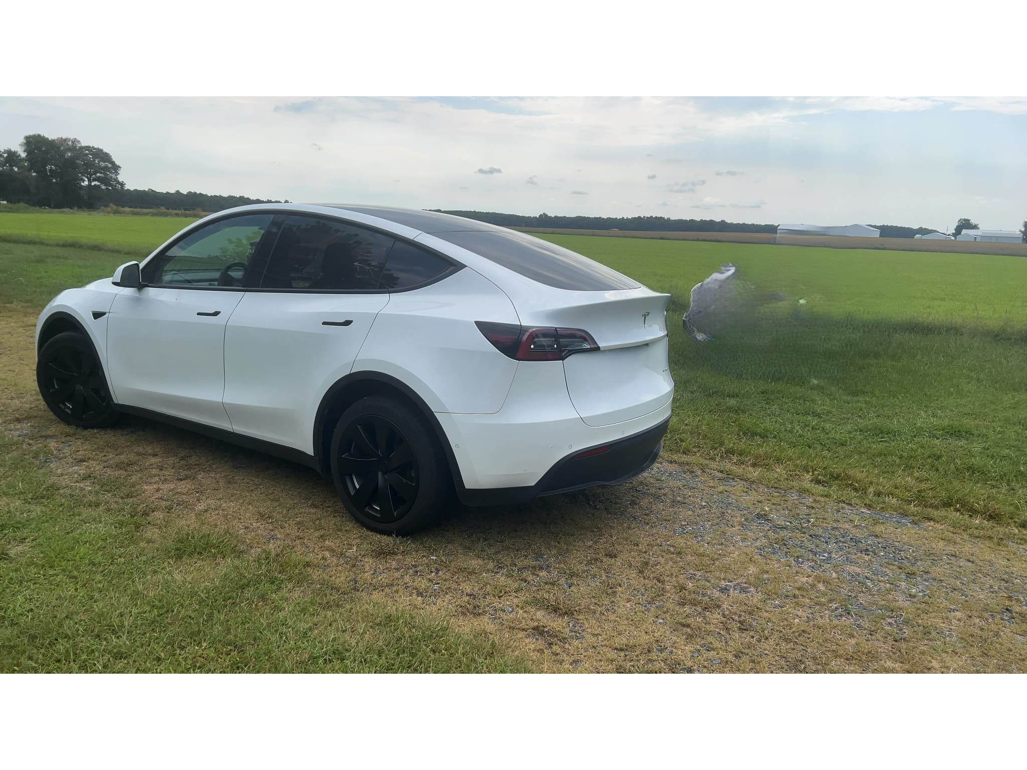 2022 Tesla Model Y view 5