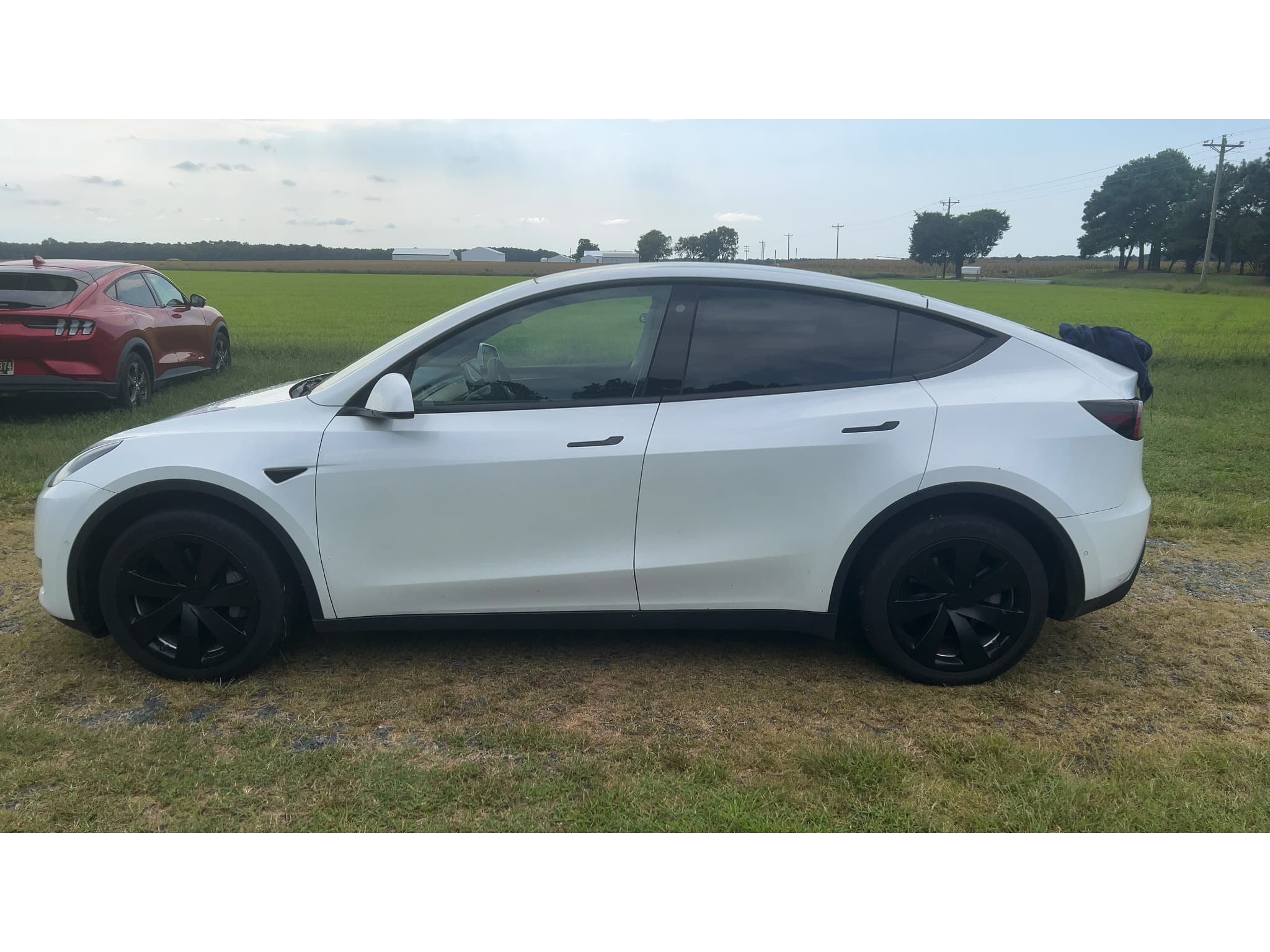 2022 Tesla Model Y view 4