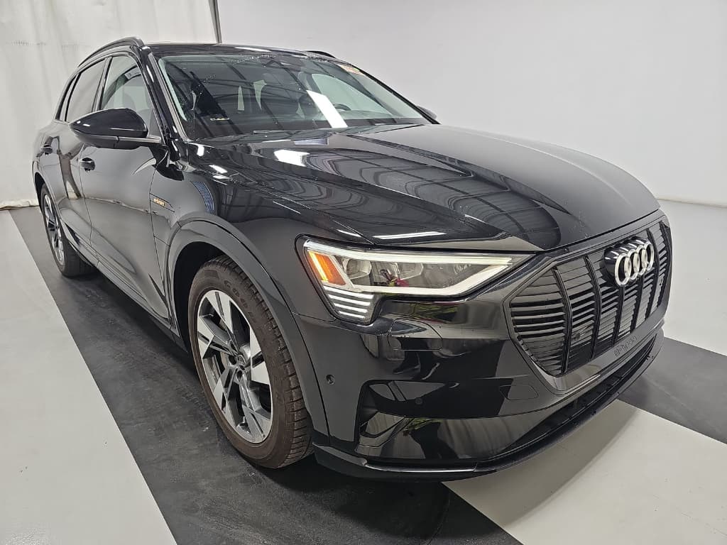 2021 Audi e-tron view 2