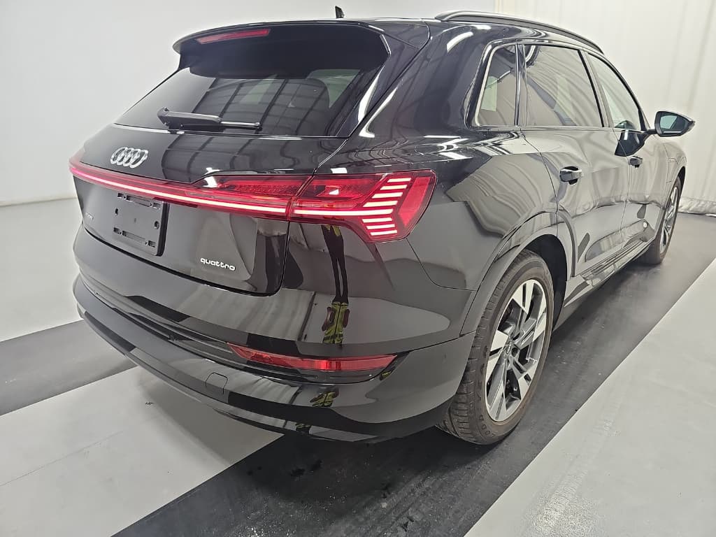 2021 Audi e-tron view 3