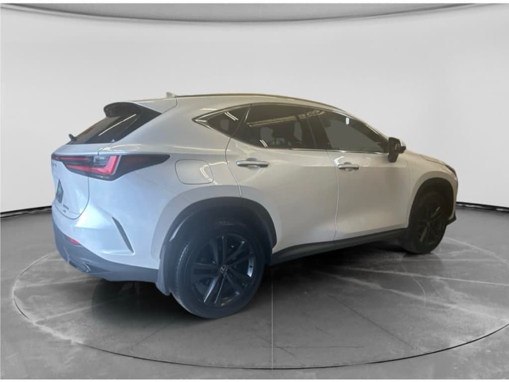 2024 Lexus NX 450h+ view 4