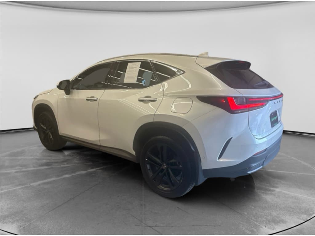 2024 Lexus NX 450h+ view 2