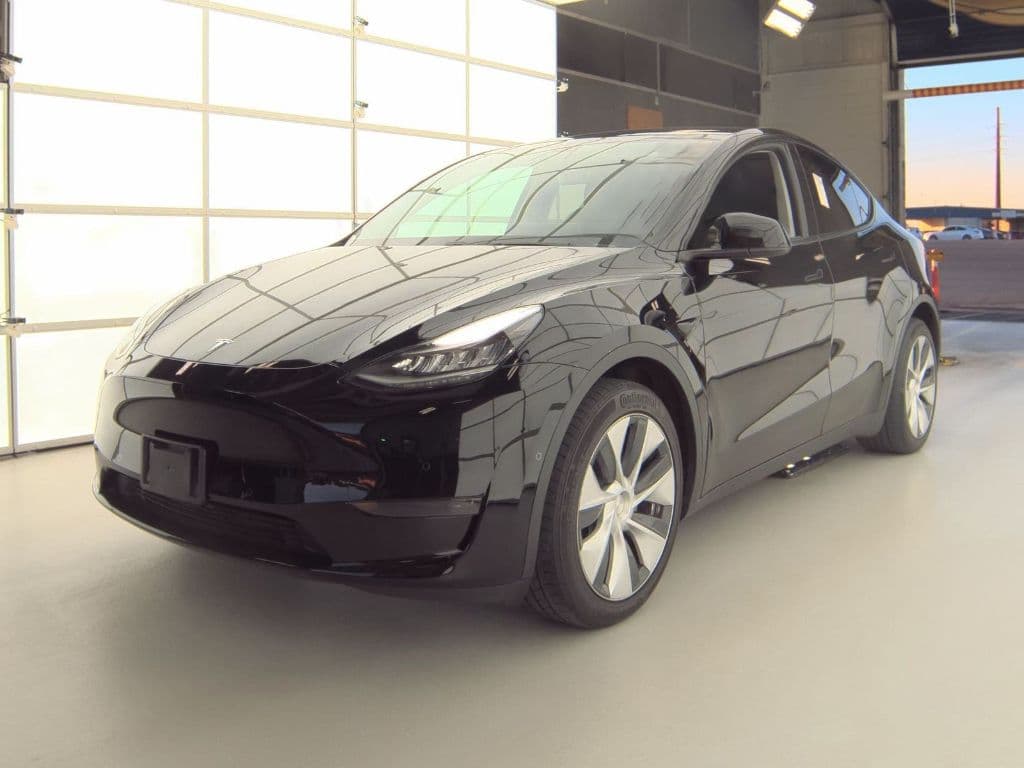 2020 Tesla Model Y view 1