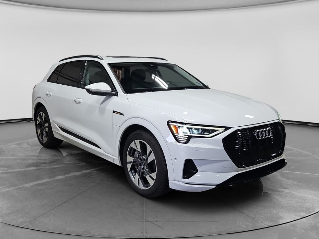 2021 Audi e-tron view 4