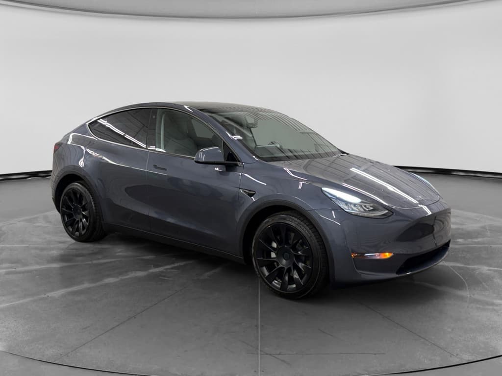 2023 Tesla Model Y view 4