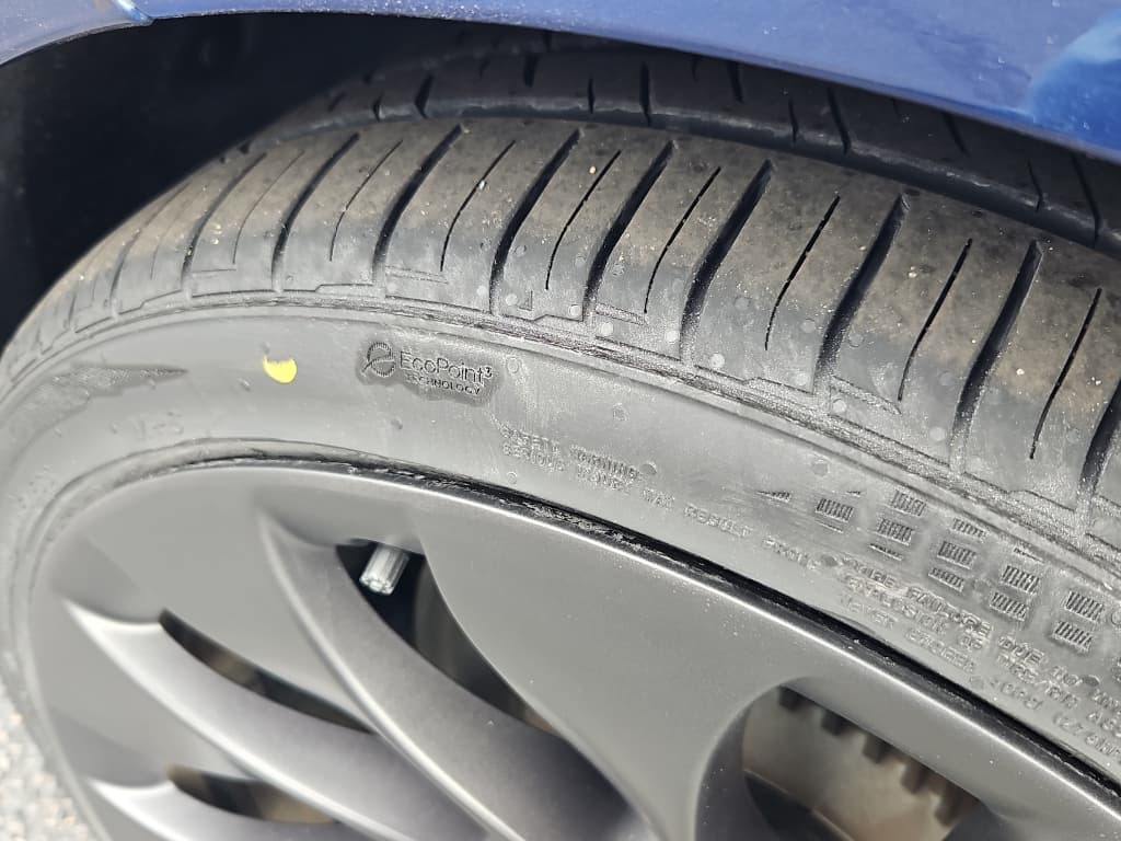 2021 Tesla Model 3 view 26