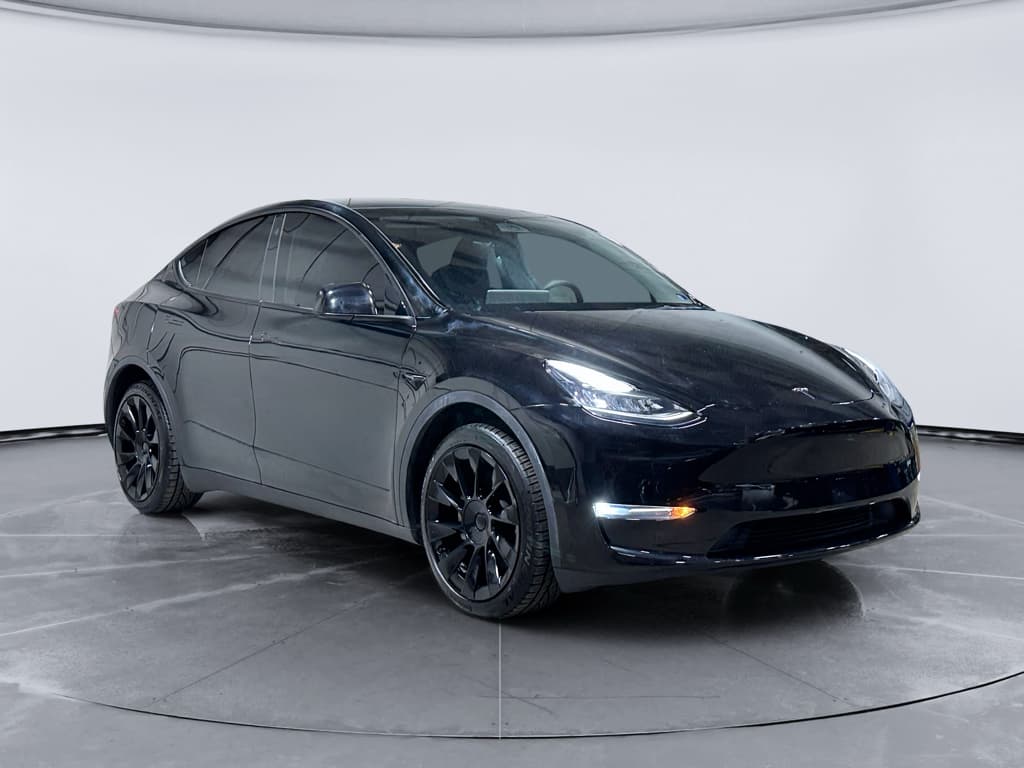 2023 Tesla Model Y view 4