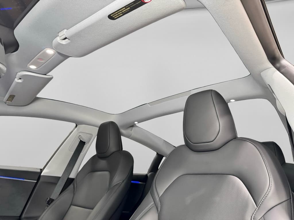 2025 Tesla Model 3 view 22