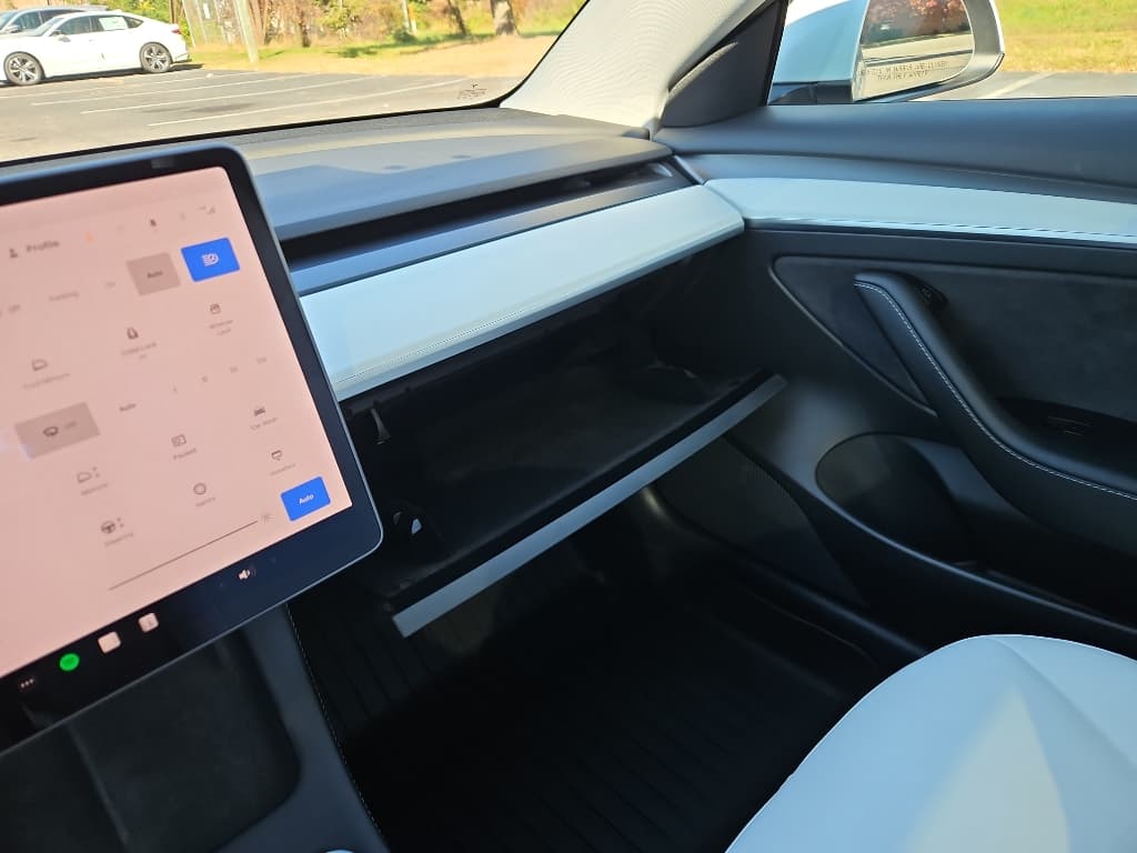 2021 Tesla Model 3 view 19