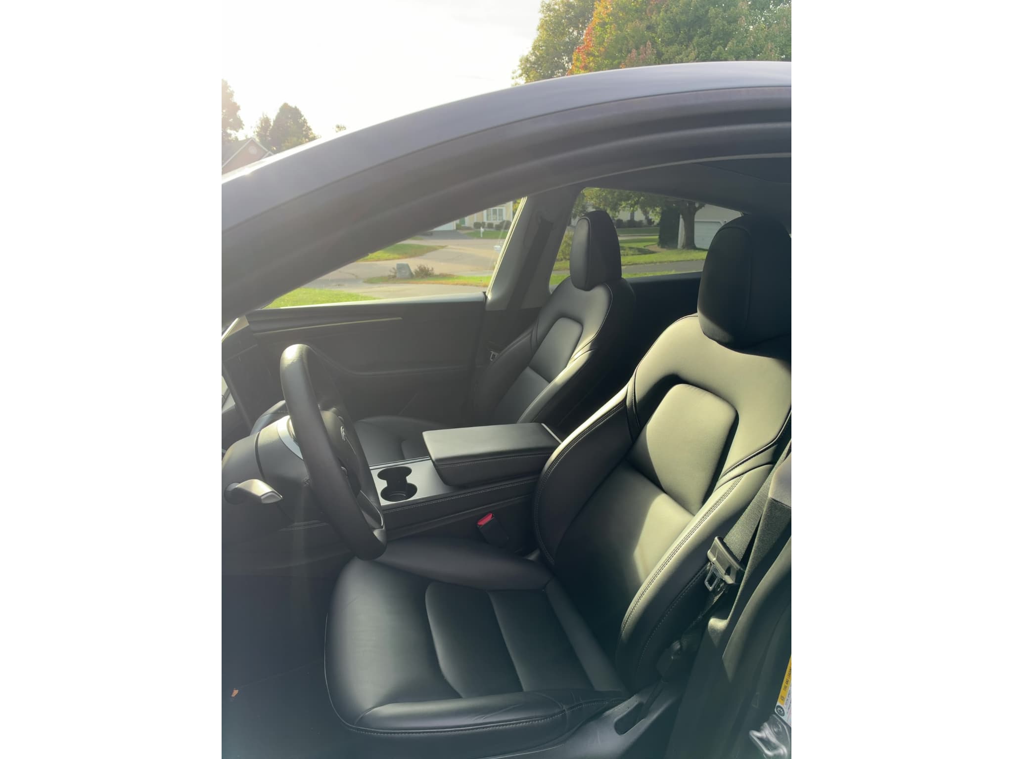 2023 Tesla Model Y view 2