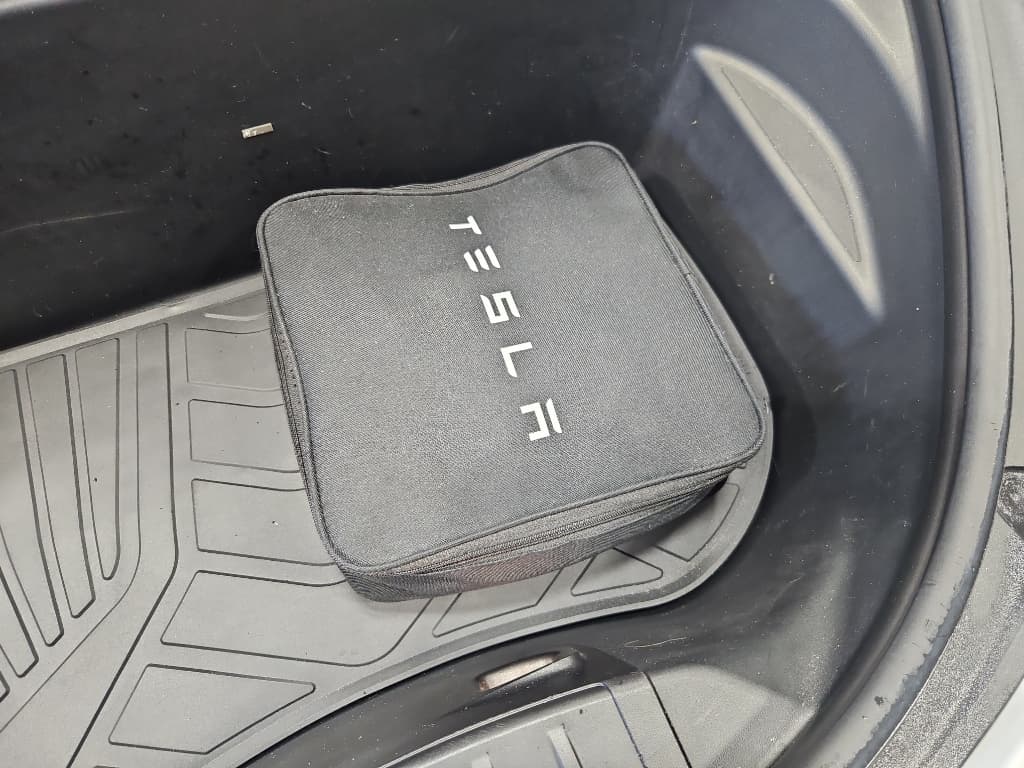 2021 Tesla Model 3 view 6