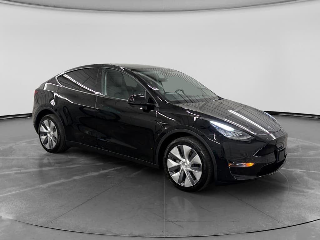 2023 Tesla Model Y view 4