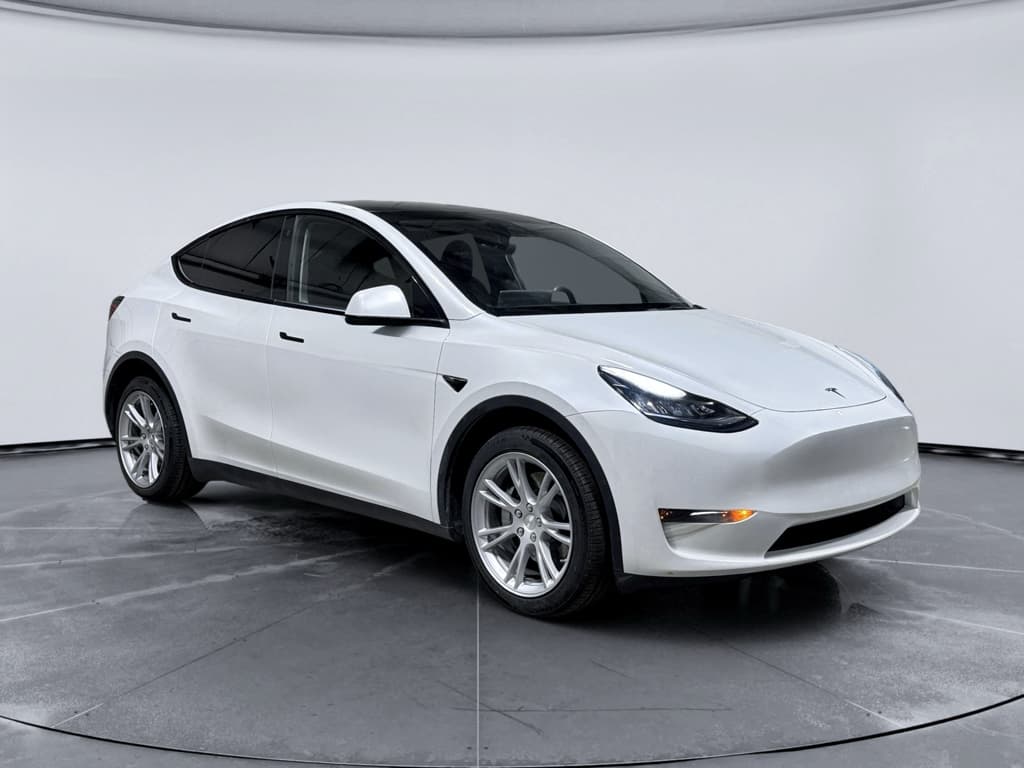 2023 Tesla Model Y view 4