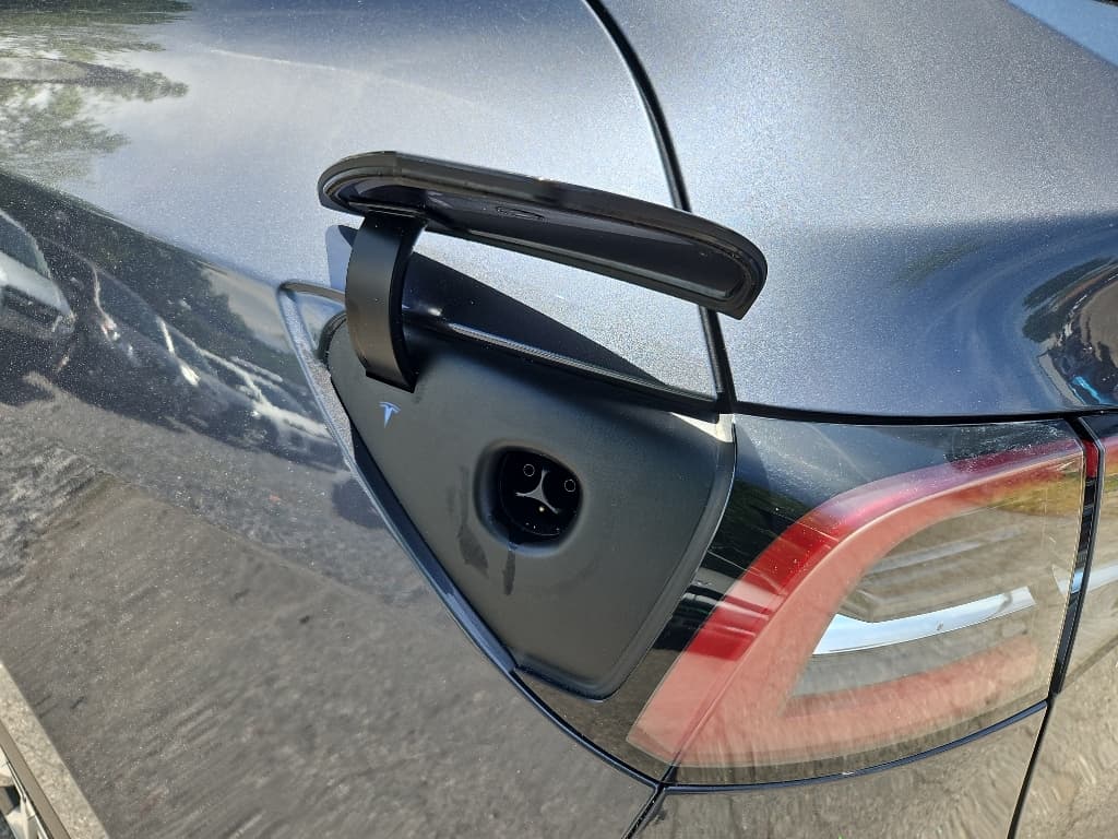 2023 Tesla Model Y view 5