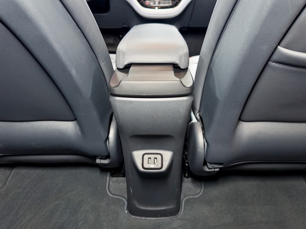 2019 Chevrolet Bolt EV view 22