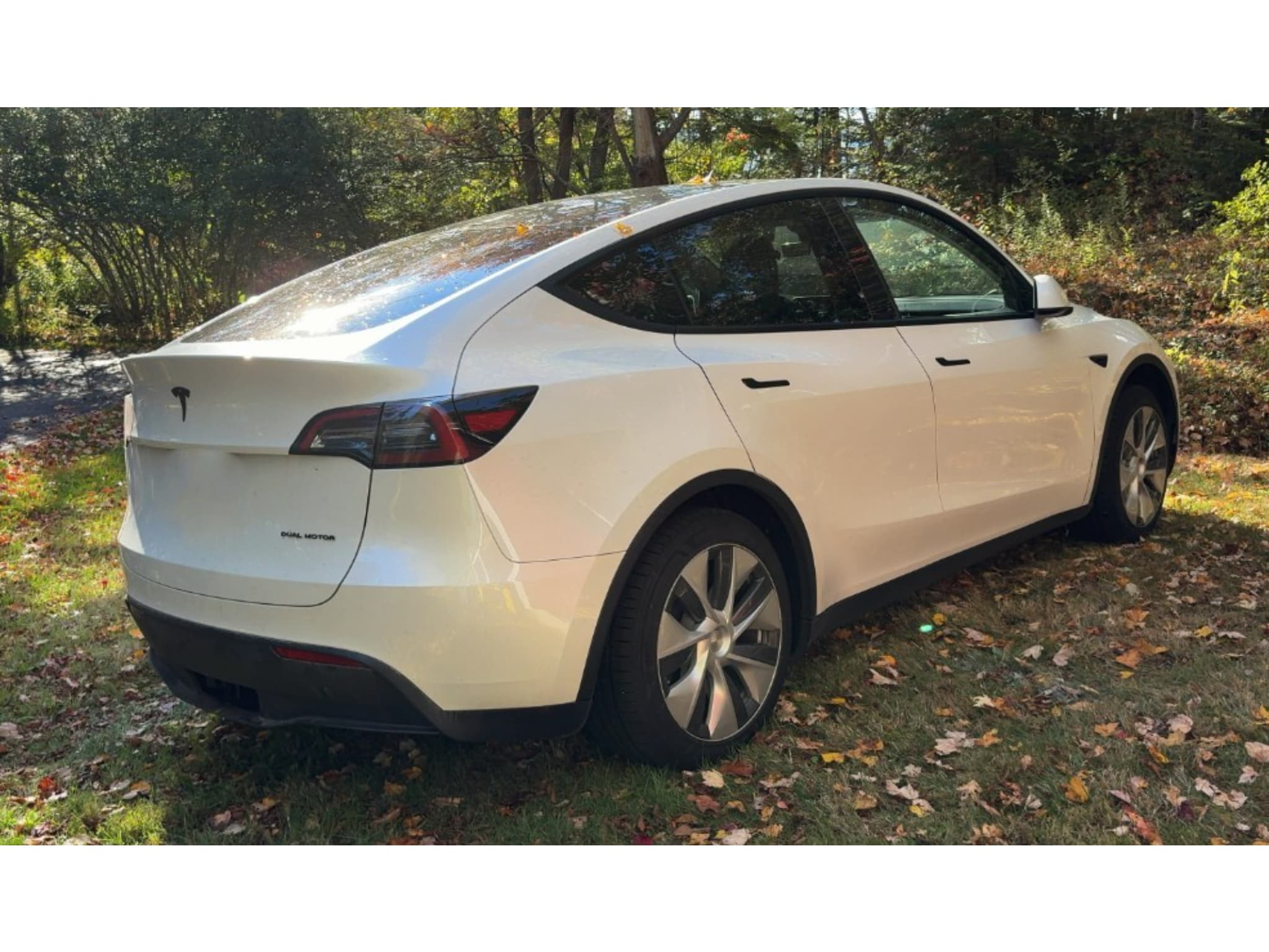 2023 Tesla Model Y view 3