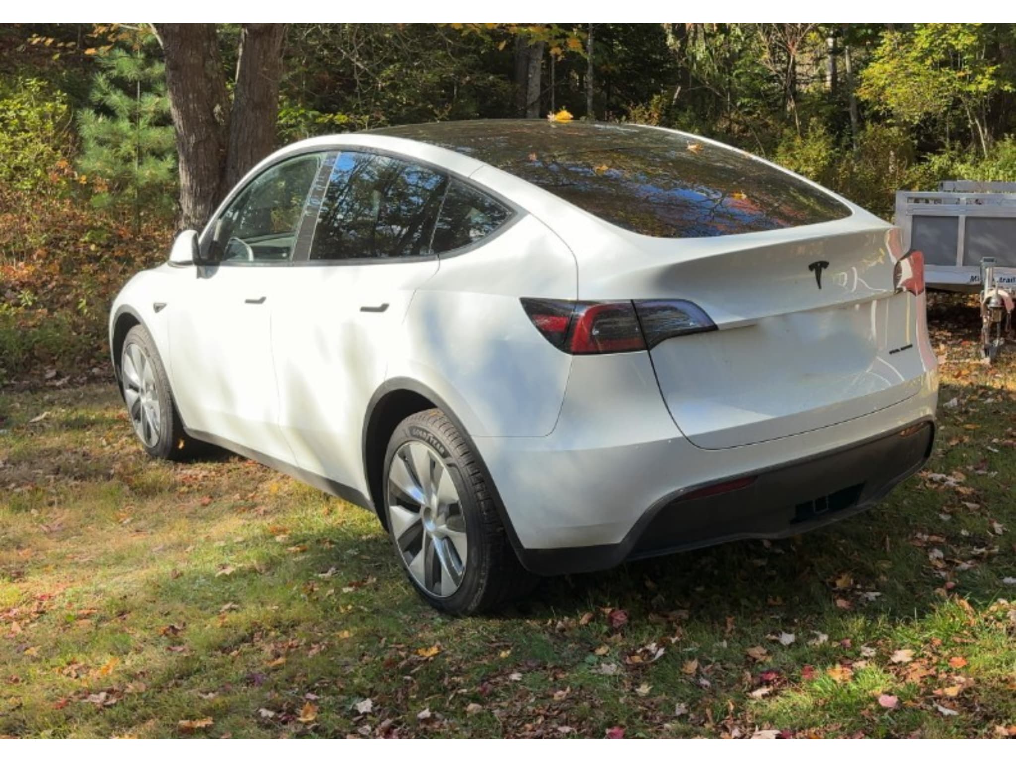 2023 Tesla Model Y view 2