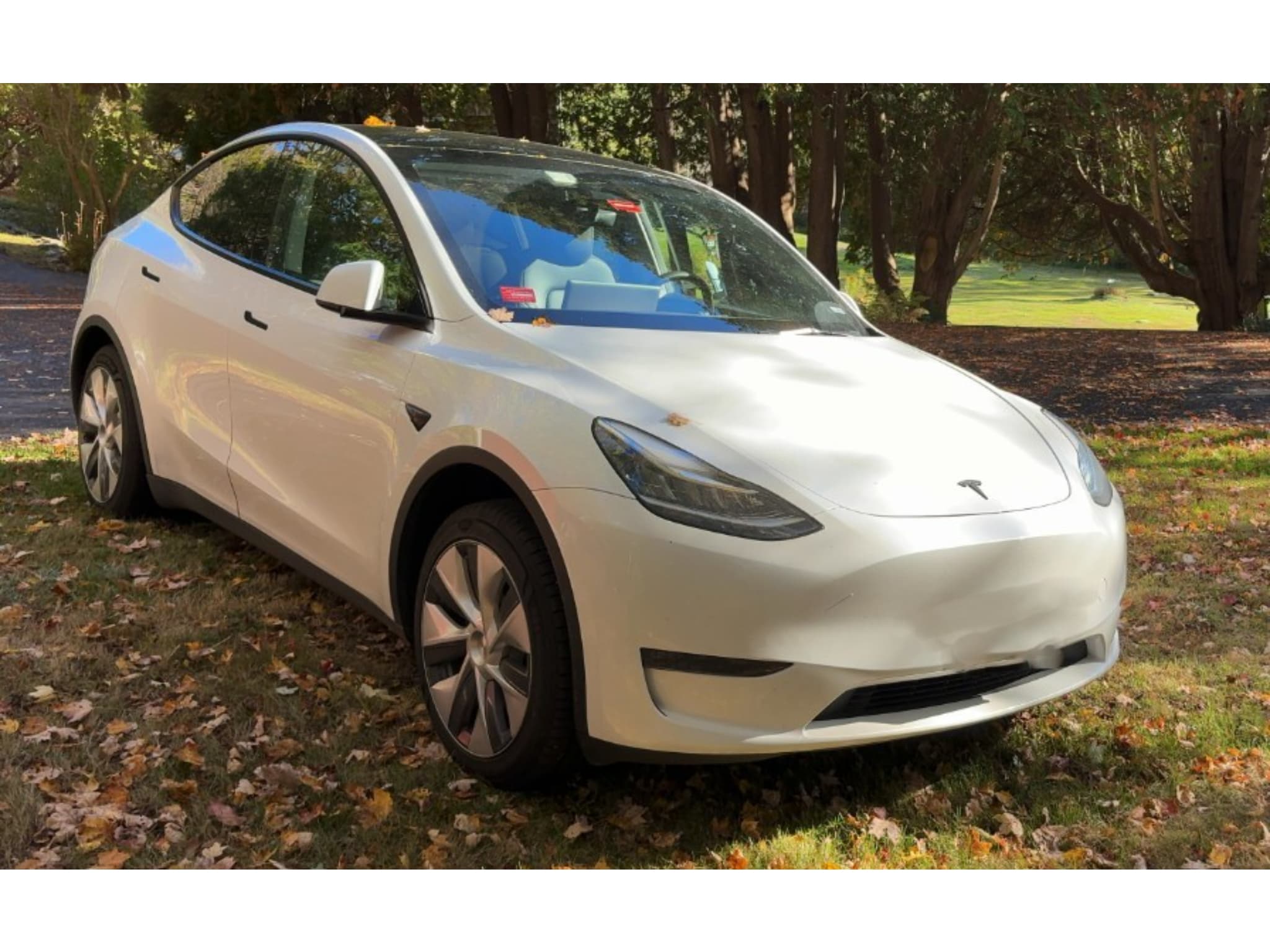 2023 Tesla Model Y view 4