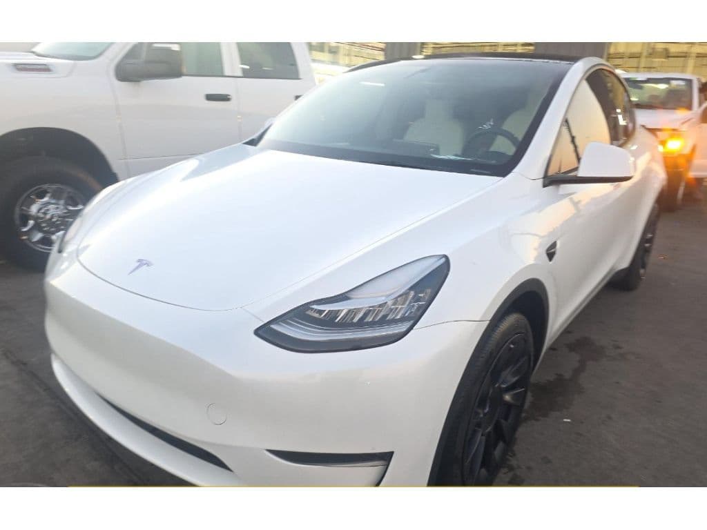 2023 Tesla Model Y view 1
