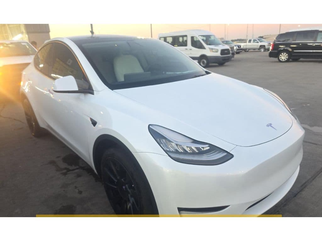2023 Tesla Model Y view 2