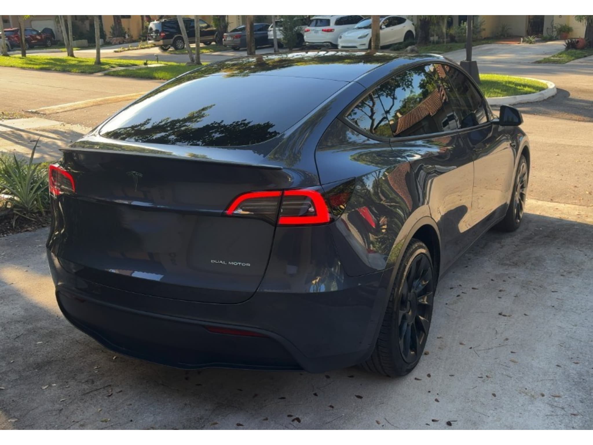 2023 Tesla Model Y view 4