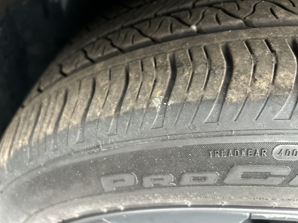 2024 Tesla Model Y view 25