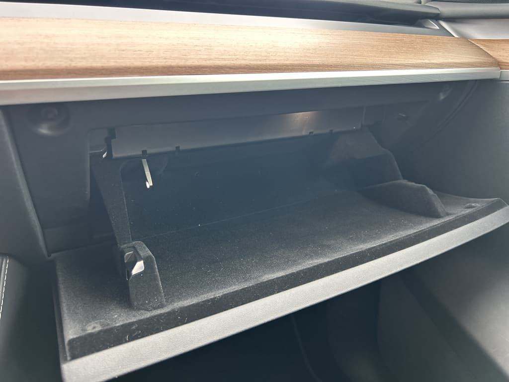 2024 Tesla Model Y view 16