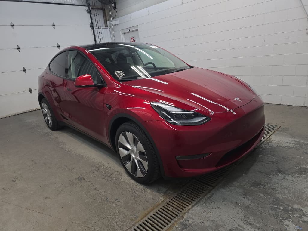 2024 Tesla Model Y view 2