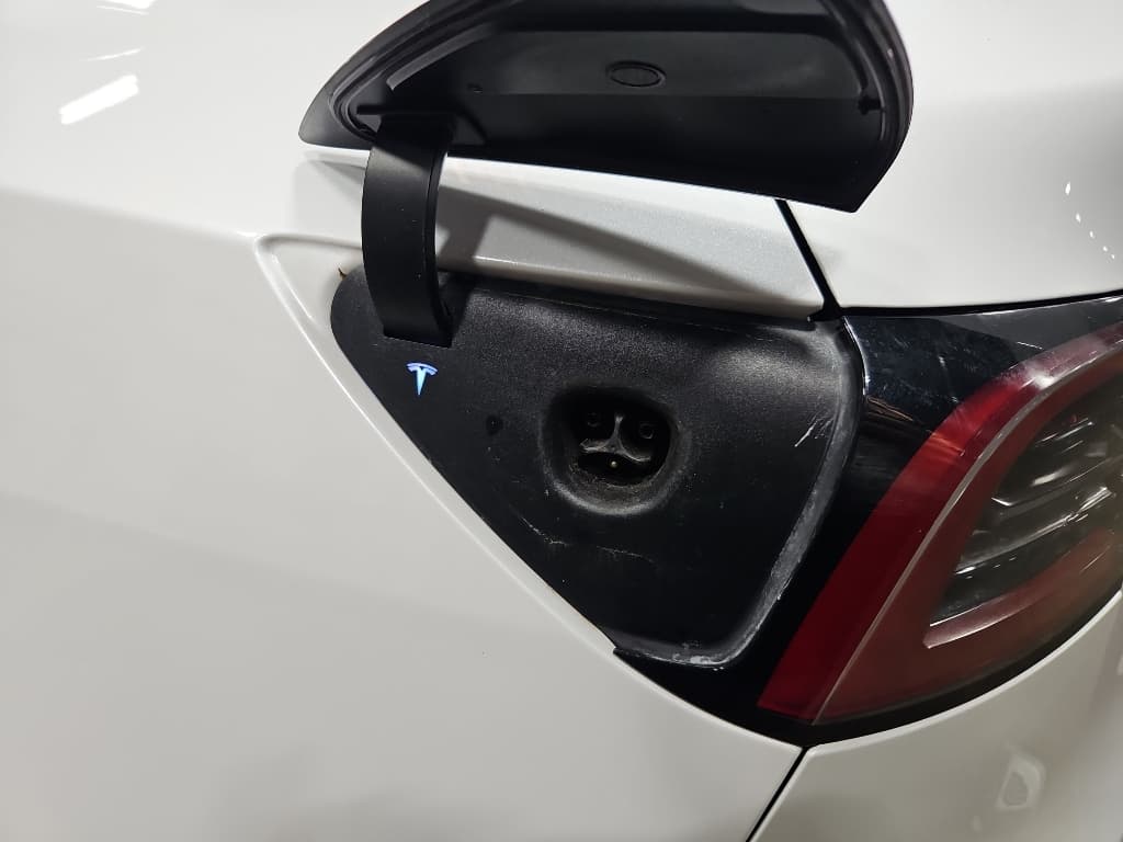 2021 Tesla Model Y view 5