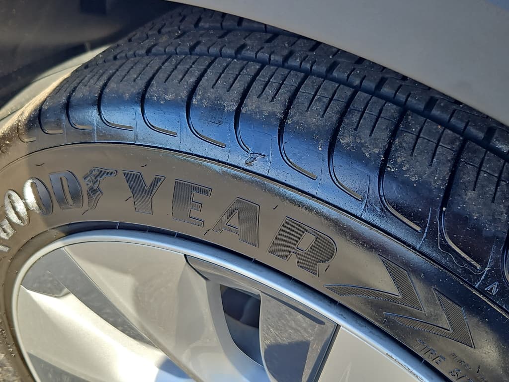 2021 Tesla Model Y view 29