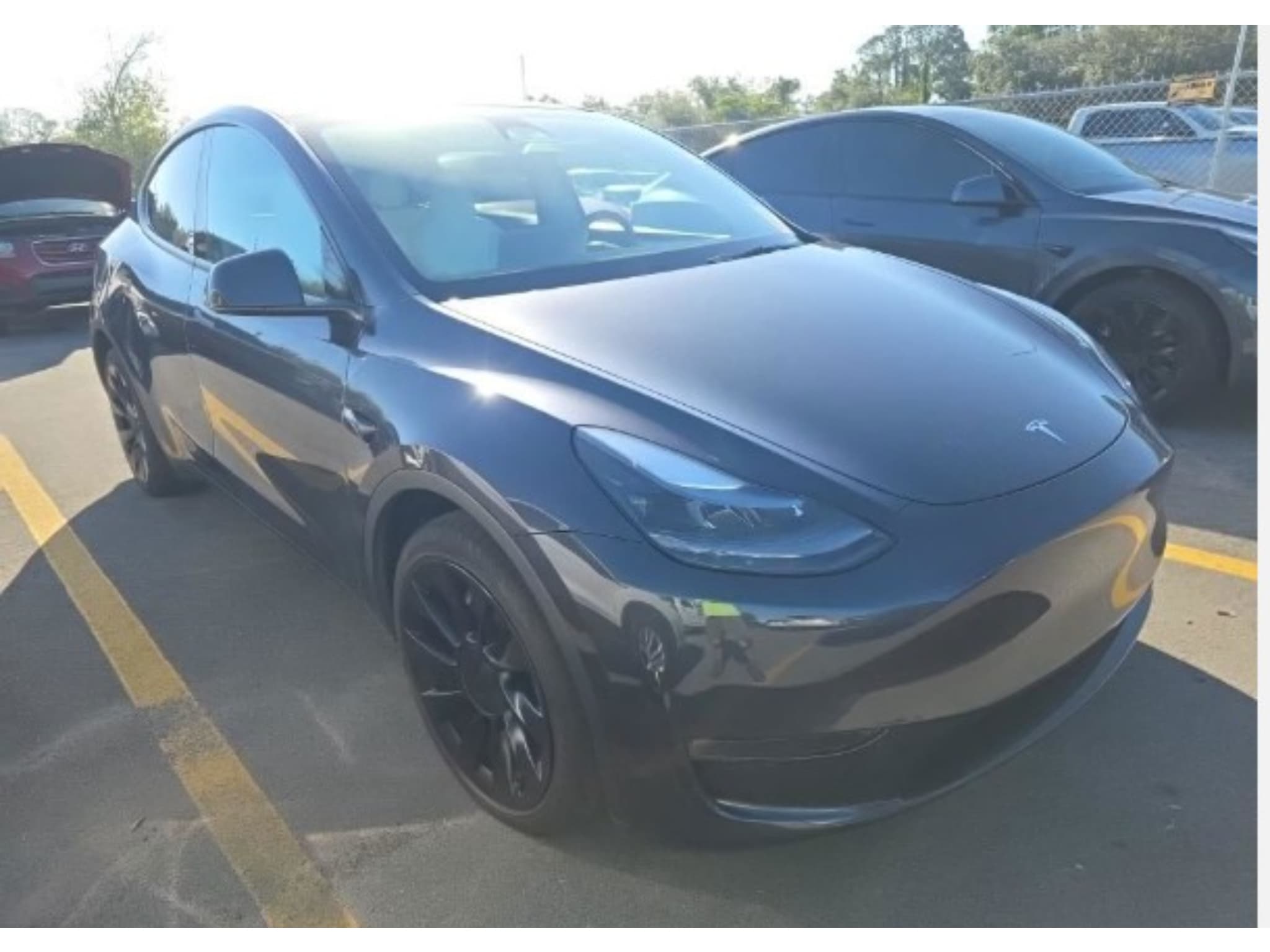 2024 Tesla Model Y view 4