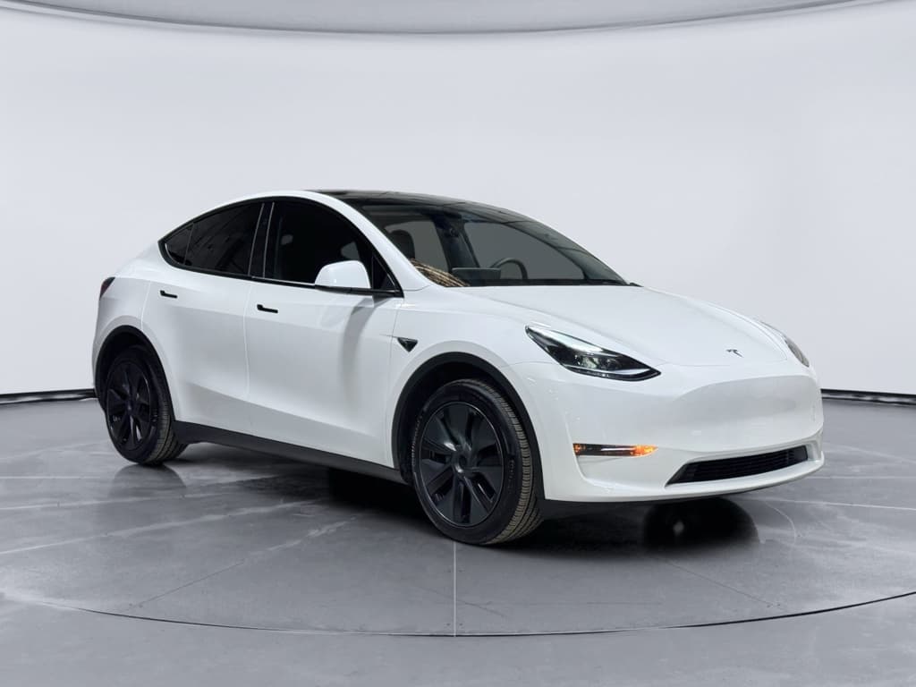 2025 Tesla Model Y view 4
