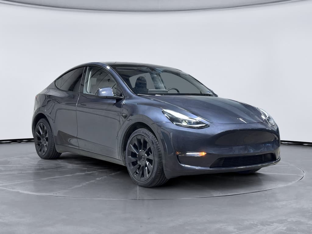 2024 Tesla Model Y view 4