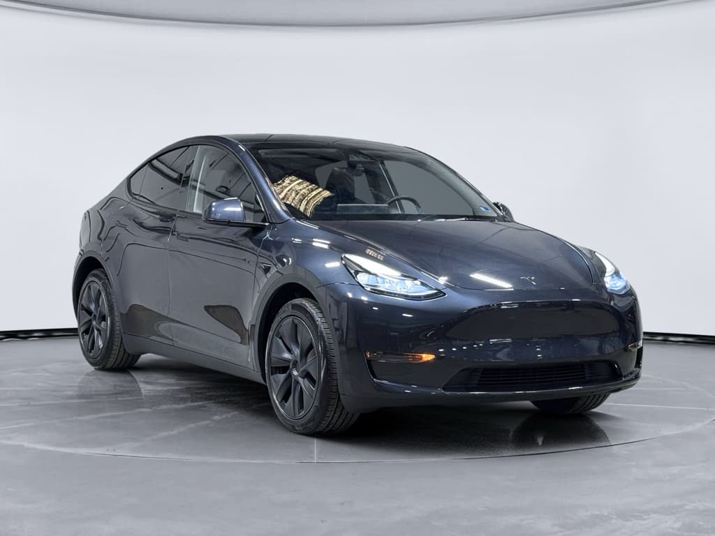 2025 Tesla Model Y view 4