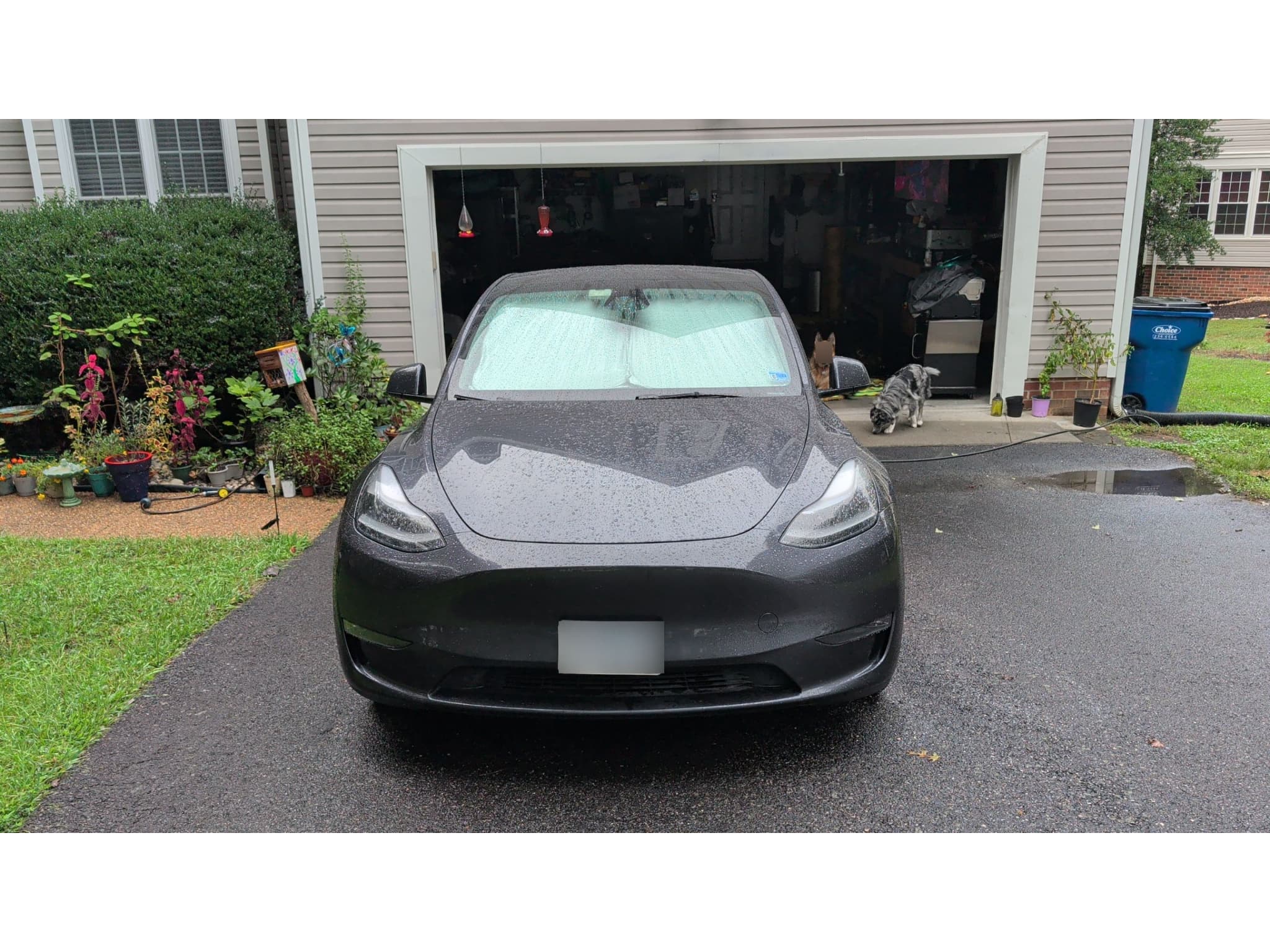2024 Tesla Model Y view 3