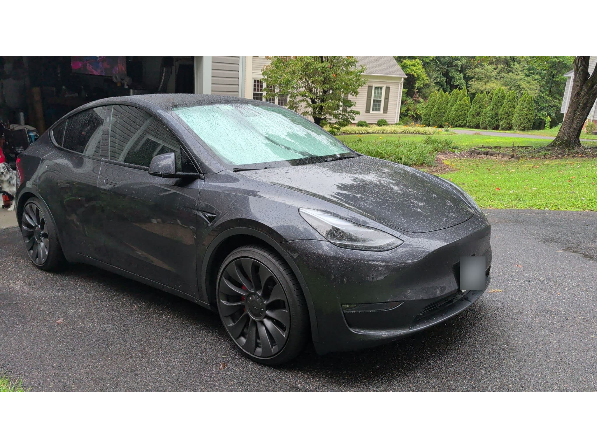 2024 Tesla Model Y view 4