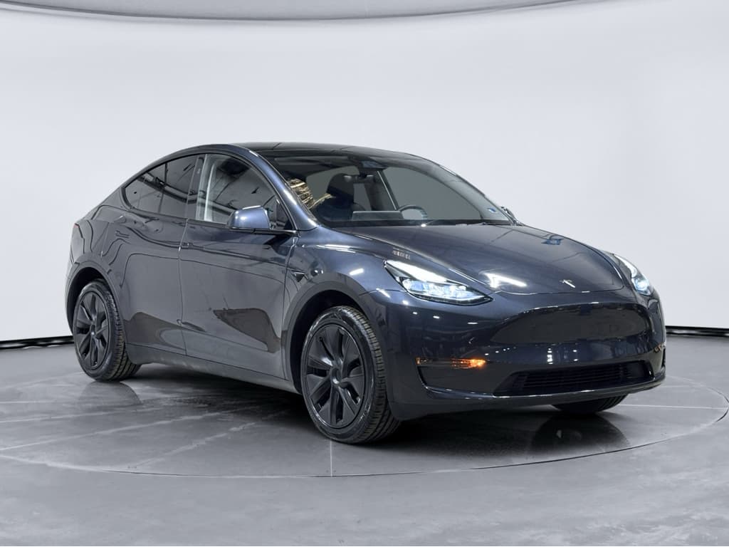 2025 Tesla Model Y view 4