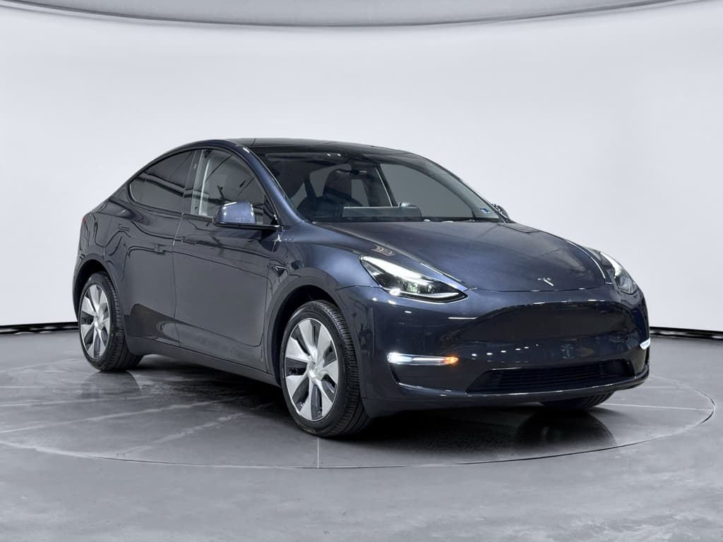 2024 Tesla Model Y view 4