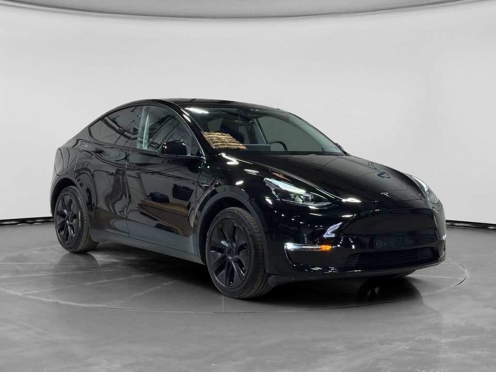 2025 Tesla Model Y view 4