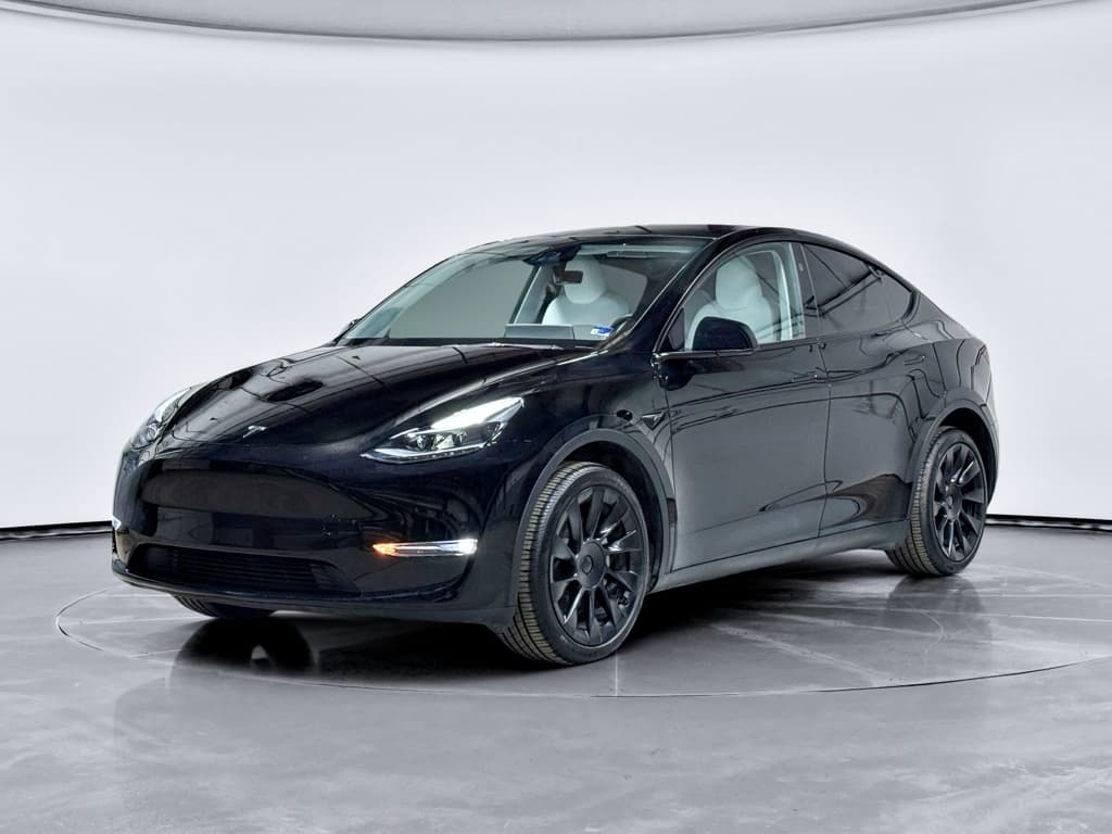 2025 Tesla Model Y view 1