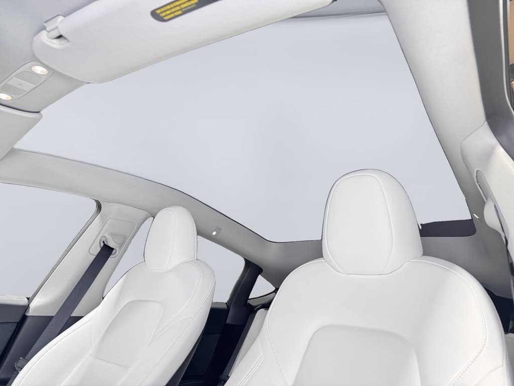 2025 Tesla Model Y view 22